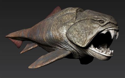 dunkleosteus teeth.